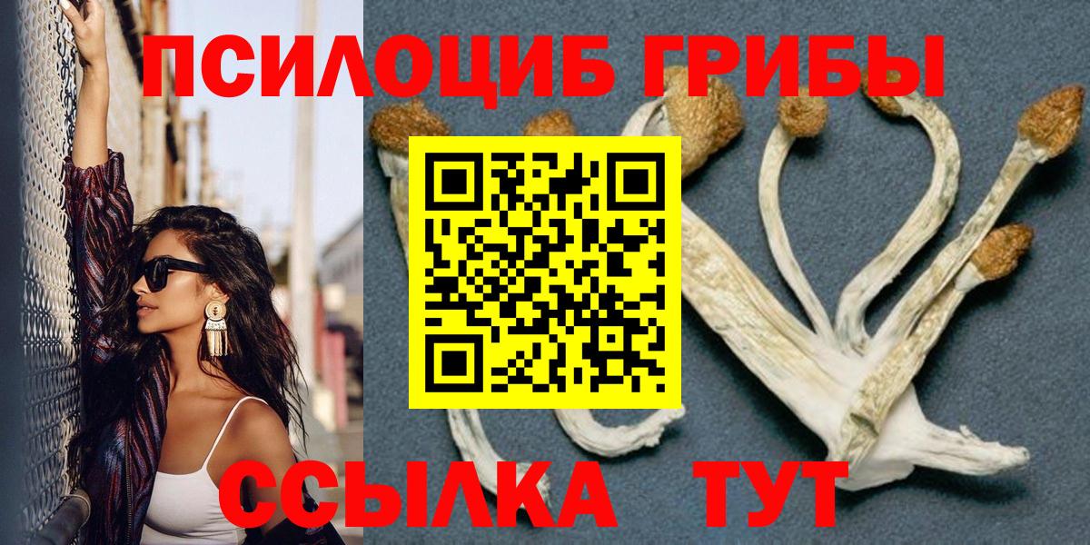 Псилоцибиновые грибы GOLDEN TEACHER Ухта