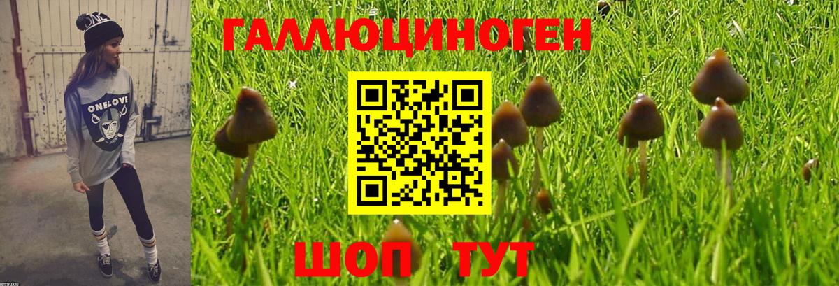 Галлюциногенные грибы мухоморы  где купить   Ухта  Вход с VPN 